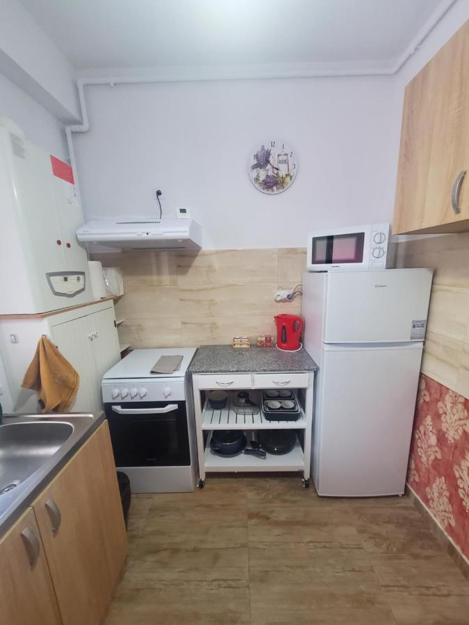 Morii Lake Special Apartment Bucureşti Eksteriør bilde